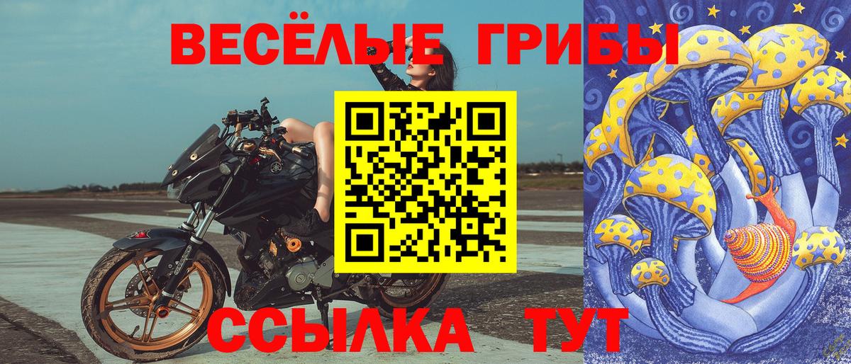Псилоцибиновые грибы мицелий  Галлюциногенные грибы прущие грибы  Александров  Вход с VPN 
